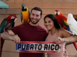 ¿Independencia, un nuevo Estado de EE.UU. o más de lo mismo?: 6 claves para entender el trascendental referendo de Puerto Rico de este domingo