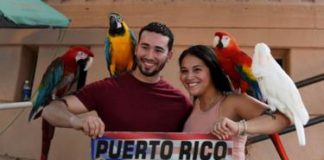 ¿Independencia, un nuevo Estado de EE.UU. o más de lo mismo?: 6 claves para entender el trascendental referendo de Puerto Rico de este domingo