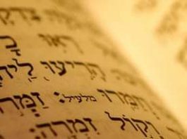 Rezar con los salmos