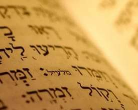 Rezar con los salmos