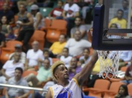 Metros de Santiago aplastan a Titanes en partido Intercircuito