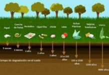 ¿Cuánto tardan en degradarse los materiales que tiramos a la basura?