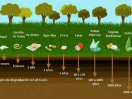 ¿Cuánto tardan en degradarse los materiales que tiramos a la basura?