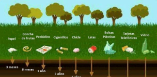 ¿Cuánto tardan en degradarse los materiales que tiramos a la basura?