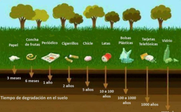 ¿Cuánto tardan en degradarse los materiales que tiramos a la basura?