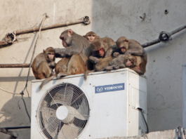 Tu aire acondicionado no es bueno para el planeta