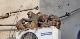 Tu aire acondicionado no es bueno para el planeta