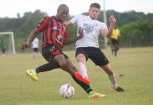 Bauger golea a Delfines