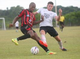 Bauger golea a Delfines