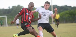 Bauger golea a Delfines