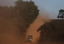 La Amazonía está en venta