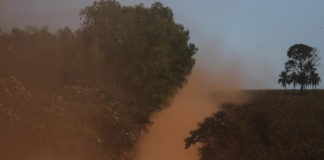 La Amazonía está en venta