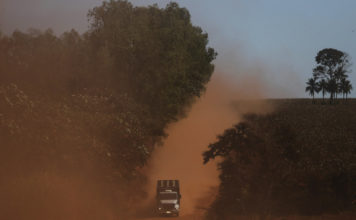 La Amazonía está en venta
