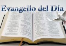 Palabra y Evangelio de hoy