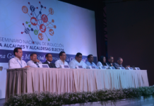 El gobierno local en la República Dominicana