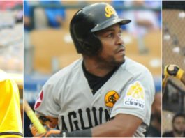 Aguilas Cibaeñas dejan en libertad 8 jugadores