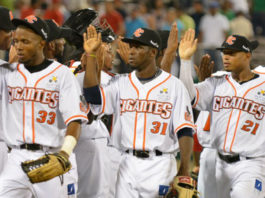 Gigantes del Cibao anuncian prácticas para el 25 de septiembre en el estadio Julián Javier