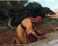 Palabra y Evangelio de hoy