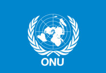 El papel de la Iglesia en la ONU, clave para el futuro de la humanidad