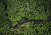 Brasil abre a mineras privadas una reserva amazónica del tamaño de República Dominicana