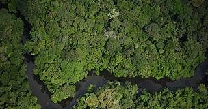 Brasil abre a mineras privadas una reserva amazónica del tamaño de República Dominicana