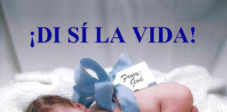 Derechos del Concebido cumple 10 años en México