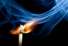 UNA SENCILLA LECCIÓN DE VIDA / Miguel Collado