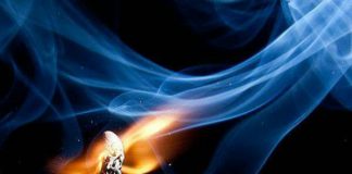 UNA SENCILLA LECCIÓN DE VIDA / Miguel Collado