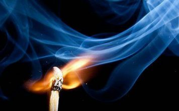 UNA SENCILLA LECCIÓN DE VIDA / Miguel Collado