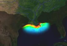 La “zona muerta” del golfo de México: asociada a actividades humanas, preocupa a los científicos