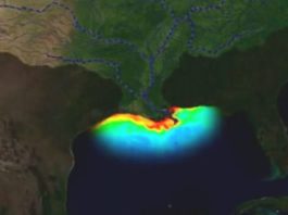 La “zona muerta” del golfo de México: asociada a actividades humanas, preocupa a los científicos