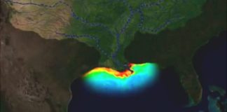 La “zona muerta” del golfo de México: asociada a actividades humanas, preocupa a los científicos