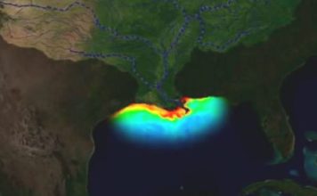 La “zona muerta” del golfo de México: asociada a actividades humanas, preocupa a los científicos