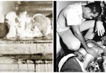 El asesinato de Amín Abel Hasbún