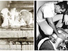 El asesinato de Amín Abel Hasbún