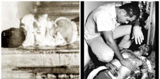 El asesinato de Amín Abel Hasbún