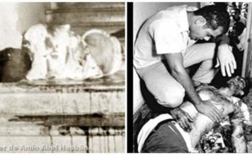 El asesinato de Amín Abel Hasbún