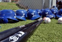 Tigres del Licey dejan libre a trece jugadores