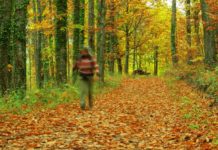 Equinoccio de otoño: ¿realmente se ha acabado el verano?