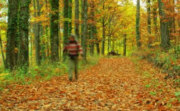 Equinoccio de otoño: ¿realmente se ha acabado el verano?