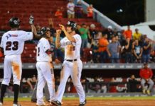 Leones caen ante Gigantes en el Julián Javier