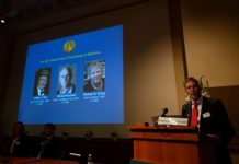 Los descubridores del ‘reloj interno’ del cuerpo, Nobel de Medicina de 2017