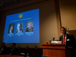 Los descubridores del ‘reloj interno’ del cuerpo, Nobel de Medicina de 2017