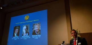 Los descubridores del ‘reloj interno’ del cuerpo, Nobel de Medicina de 2017