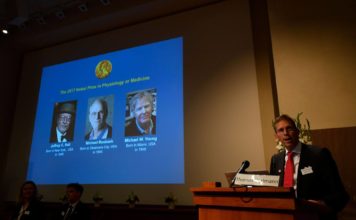 Los descubridores del ‘reloj interno’ del cuerpo, Nobel de Medicina de 2017