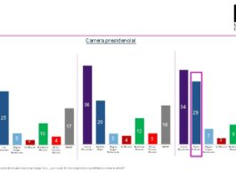 Encuesta Mark Penn: David Collado, candidato del PRM más fuerte enfrentado a Leonel Fernández