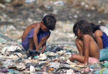 El hambre aumentó 6% en América Latina y el Caribe, según la FAO