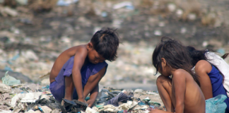 El hambre aumentó 6% en América Latina y el Caribe, según la FAO