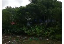 Laguna en los Jardines del Norte