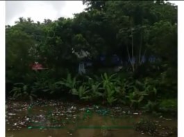 Laguna en los Jardines del Norte